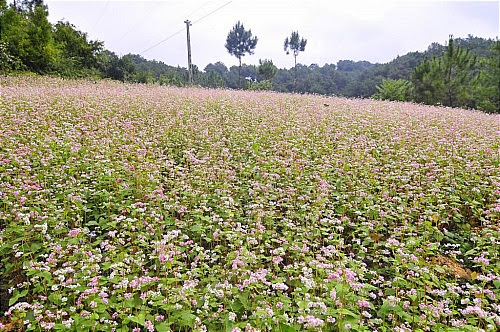 Pha Luông cũng chính là địa danh nổi tiếng trên đường đi của đoàn quân Tây Tiến năm xưa. 