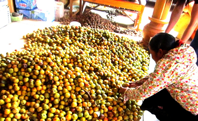 Đồng bào Mông bày bán sơn tra ở chợ phiên