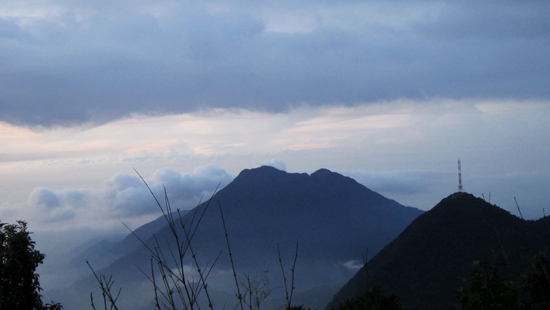 tam-dao-khac-la-qua-chuyen-du-ngoan-dinh-rung-rinh3