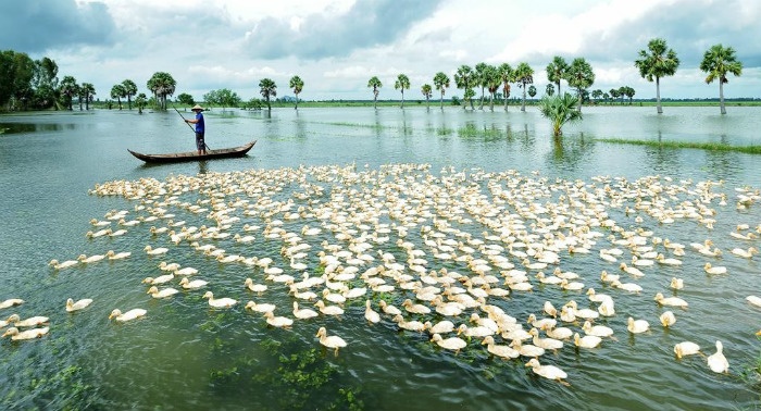 Đẹp lắm An Giang mùa nước nổi