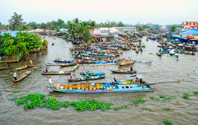 o mien tay co bao nhieu cho noi