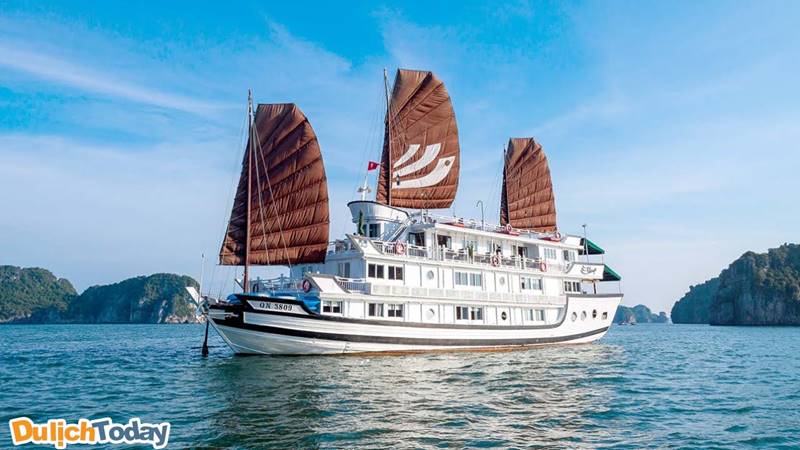 Halong Bhaya Cruise - du thuyền được du khách đánh giá cao nhất