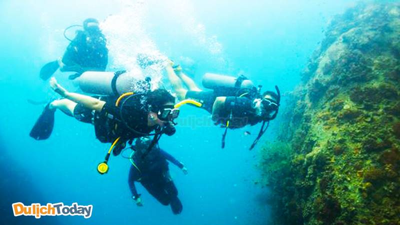 Fun dive là dịch vụ lặn biển Nha Trang chỉ dành cho những thợ lặn chuyên nghiệp