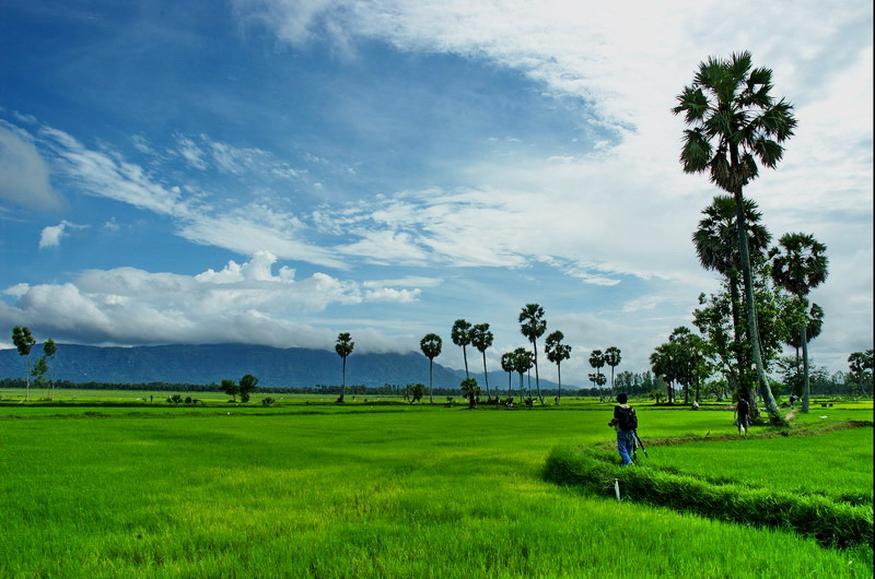 di chau doc nen mua gi lam qua