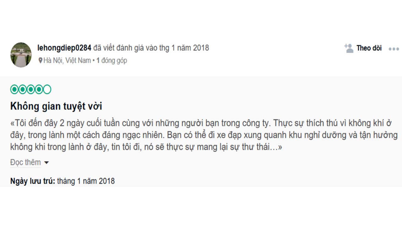 Review của du khách về rừng thông trên TripAdvisor