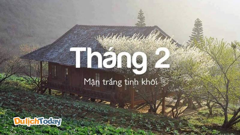 Tháng 2 - Hoa mận nở