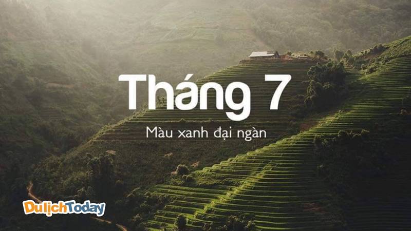 Tháng 7 - màu xanh đại ngàn