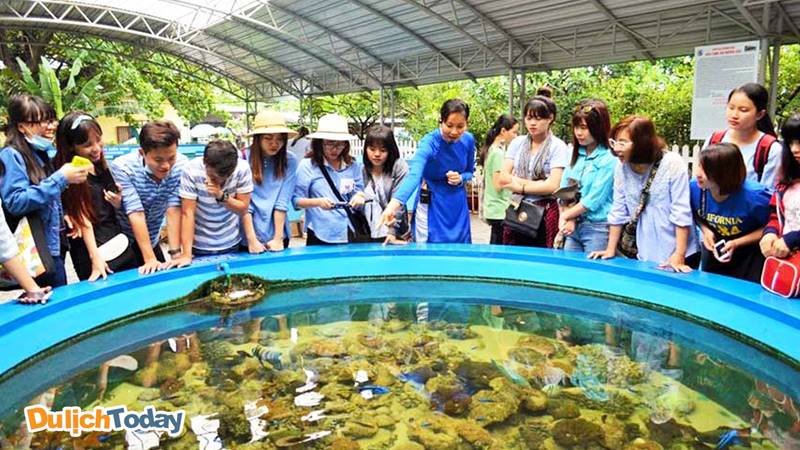 Du khách tham quan bể nuôi sinh vật sống ngoài trời