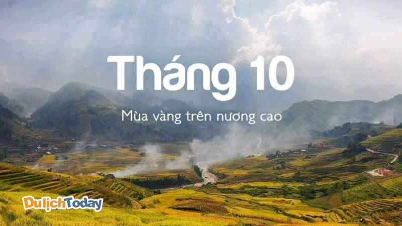 Mùa vàng trên nương cao vào tháng 10