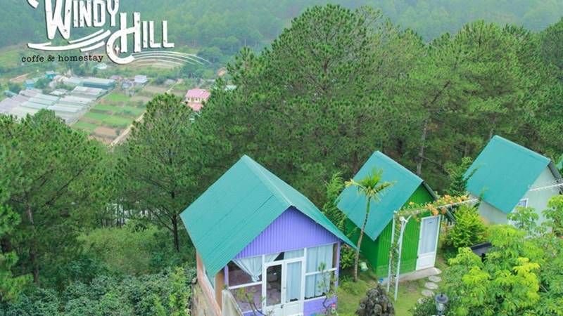 Windy Hill là homestay nằm sát ngay đồi thông