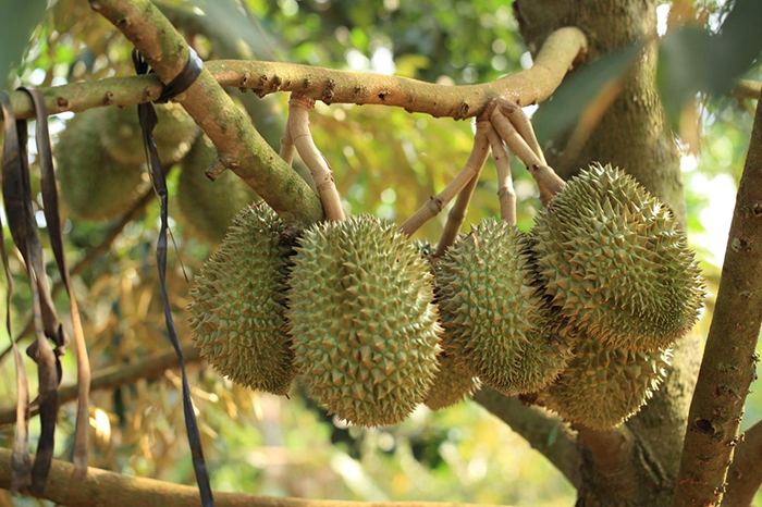 nhung kinh nghiem di du lich mien tay