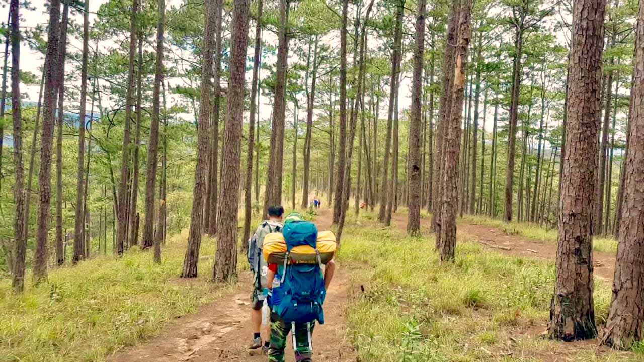 Phượt Langbiang bằng hình thức trekking