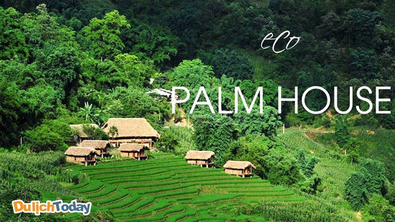 Eco Palm House resort Sapa