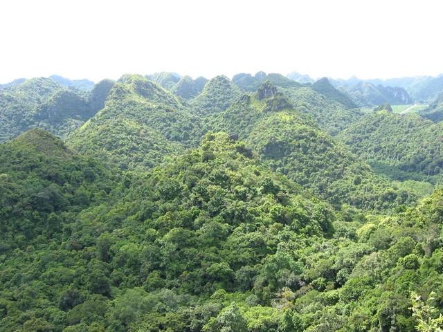 Khung cảnh thiên nhiên hùng vĩ, núi non trùng trùng điệp điệp, vườn quốc gia Cát Bà được UNESCO công nhận là khu dự trữ sinh quyển của thế giới