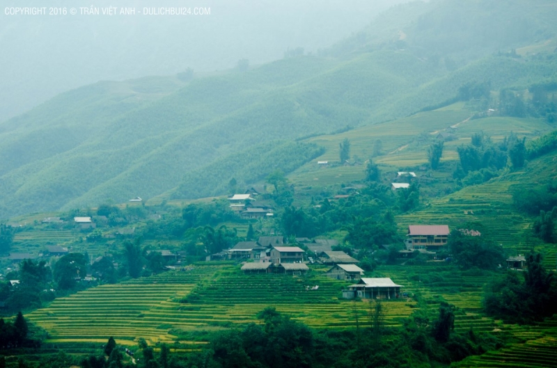 Những ngôi nhà homestay của người Dáy ở bản Tả Van