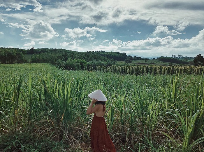 Cao nguyên Vân Hòa