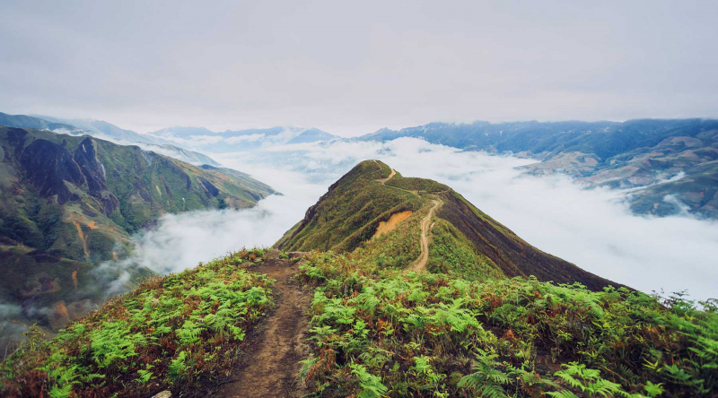 Cách di chuyển đến Tà Xùa