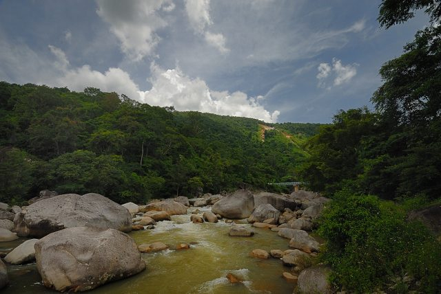 Dòng suối trong vườn quốc gia Chư Yang Sin