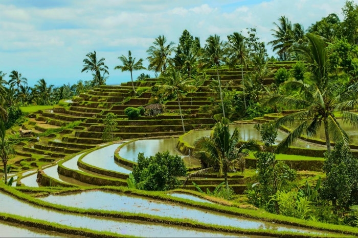 Ruộng bậc thang mùa nước