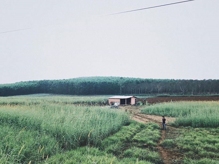 Cao nguyên Vân Hòa