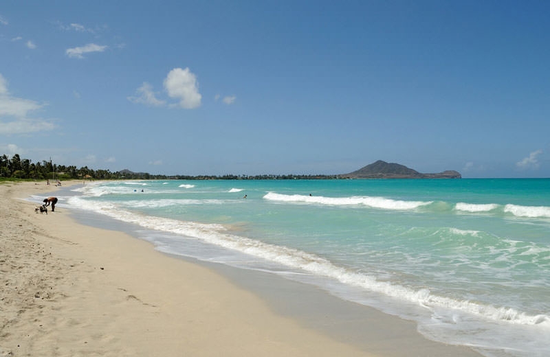 Bãi biển Kailua, Honolulu