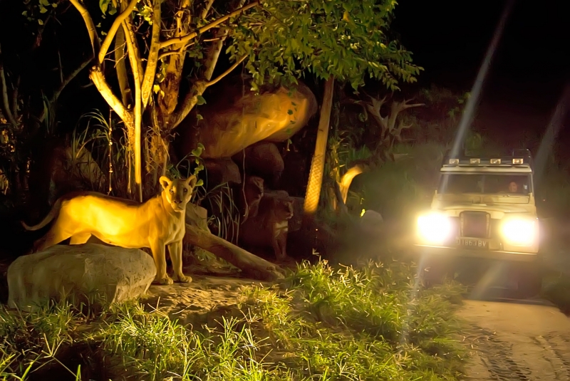 Vườn thú đêm Night Safari