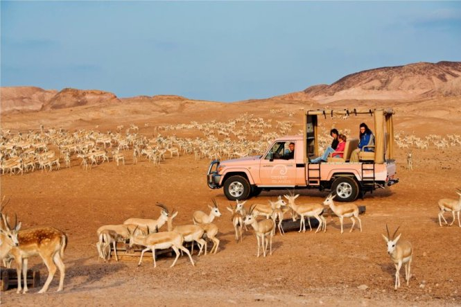 khu bảo tồn tại Sir Bani Yas