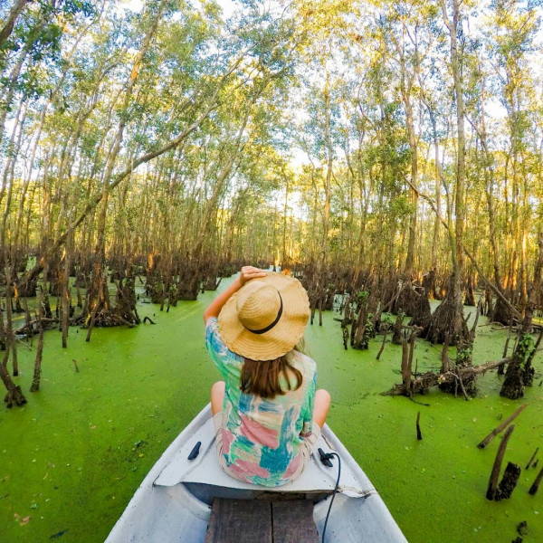 Rừng tràm Trà Sư - An Giang