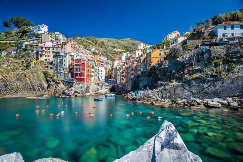 Ngành nghề chính của Manarola là đánh bắt cá truyền thống và sản xuất rượu vang