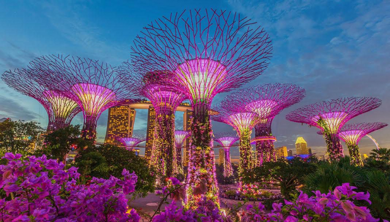 Công viên ánh sáng tại Singapore