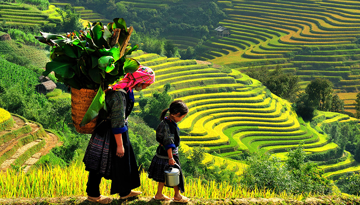 Bản Lao Chải