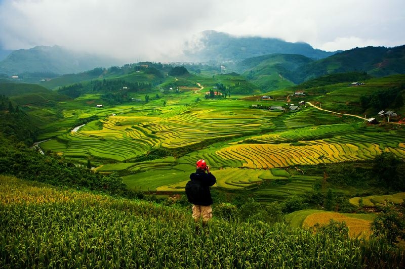 Đến Sapa vào mùa lúa chín hoặc mùa nước đổ để cảm nhận hết vẻ đẹp của đất trời