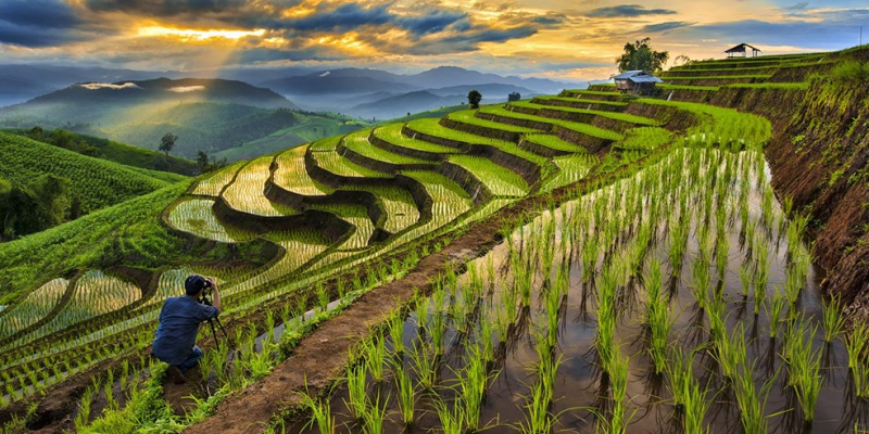 Ruộng bậc thang Chiang Mai mùa nước đổ