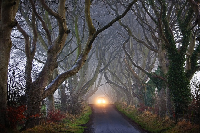 Con đường cây ma mị, Ireland