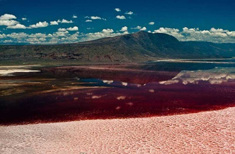 Hồ Natron, Tanzania