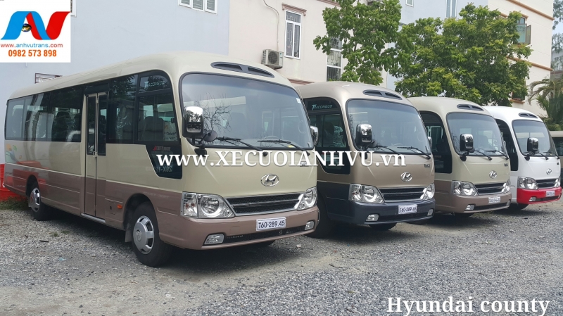 Dàn xe 45 chỗ của công ty