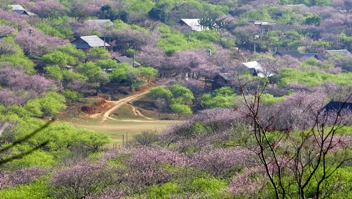 Bản Lóng Luông