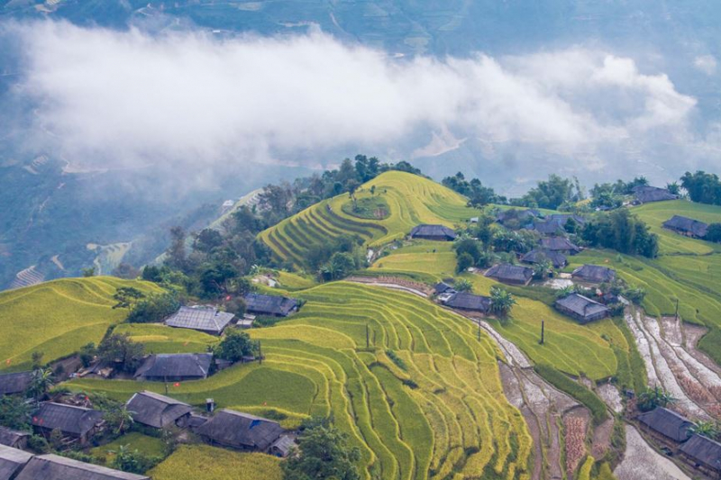 Ruộng bậc thang Hoàng Su Phì