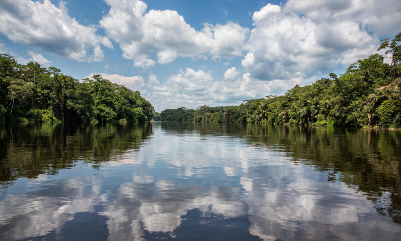 Congo Basin