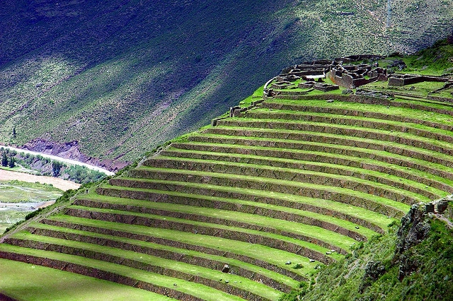 Ruộng bậc thang Pisac, Peru