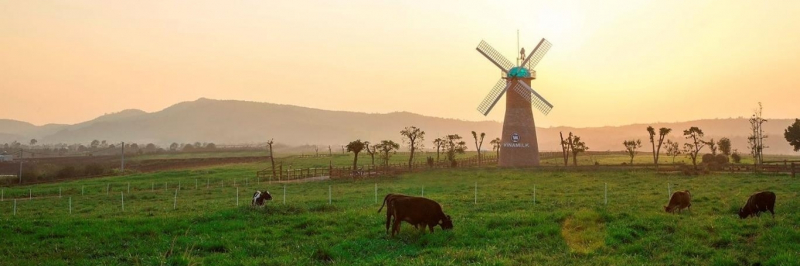 Dalat Milk Farm