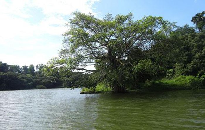 Đầm Ao Châu - Hạ Hòa