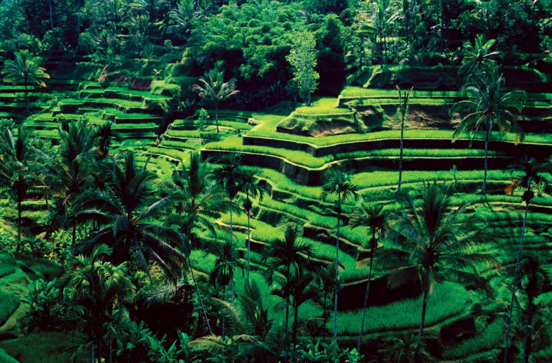 Làng Ubud