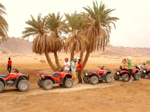 Sa mạc Safari Dubai