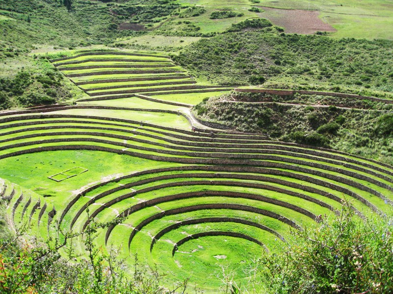 Ruộng bậc thang Pisac, Peru