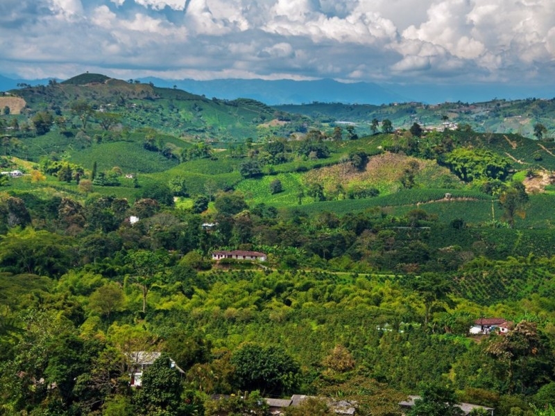 Cà phê ở Zona Cafetera