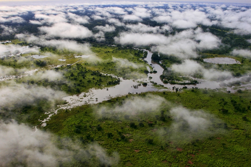 Congo Basin