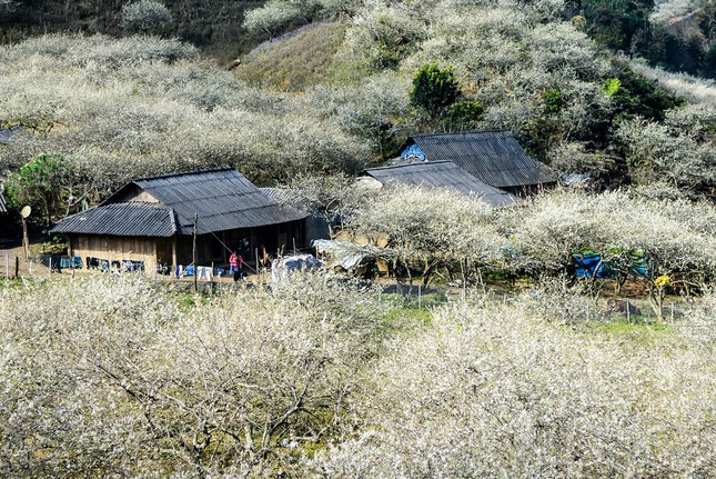 Mộc Châu, Sơn La