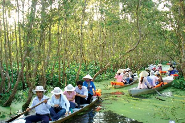 Khu du lịch sinh thái Rừng Đước