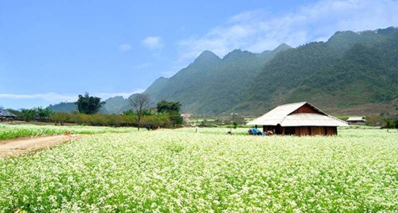 Mộc Châu - Sơn La